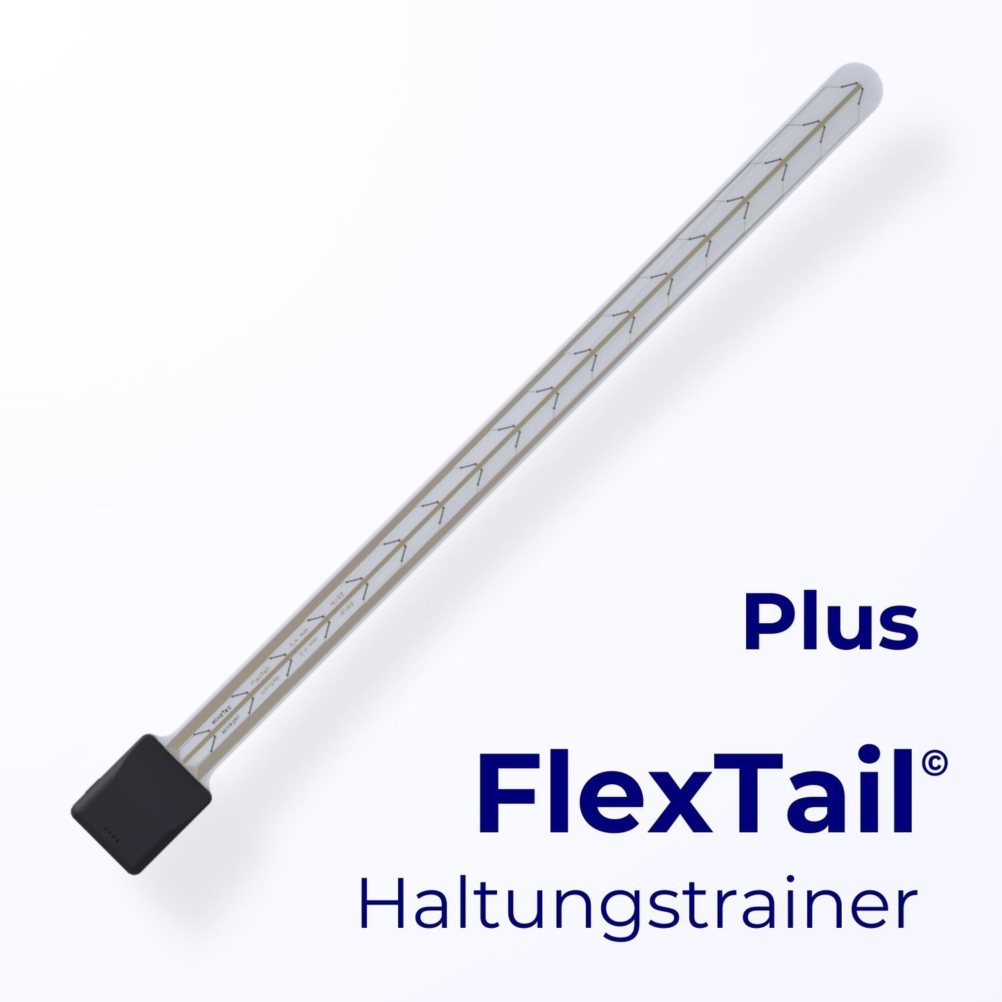 Haltungstrainer Plus