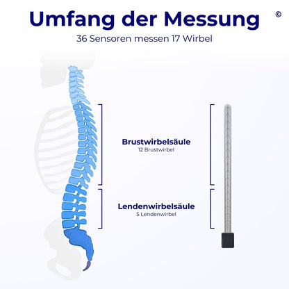 FlexTail© Rücken-Sensor (8 Wochen Leihe)